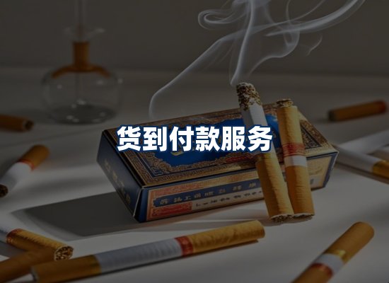 专业团队办公环境